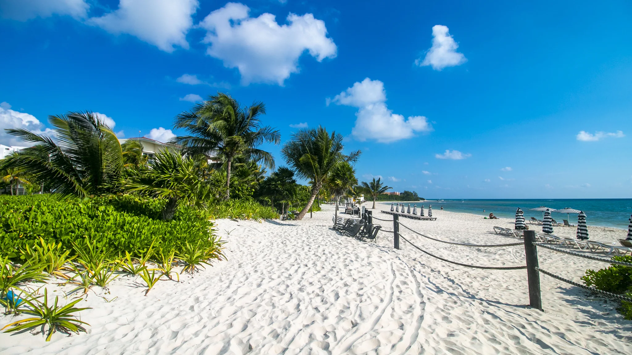 Mareazul Beach Condos at Playa del Carmen For Sale and Rent - Oceanfront condos - Private Beach - 1